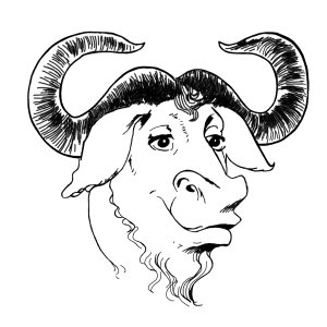 A GNU Head
