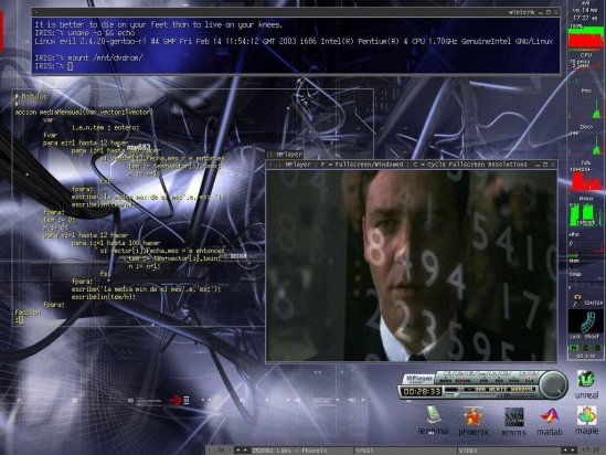 Screenshot. FluxBox, MPlayer.