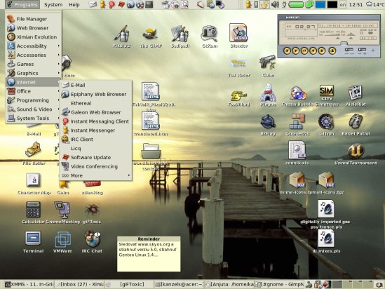 Screenshot. Gnome, XMMS.