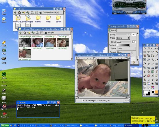 Screenshot. ROX, Gimp, XMMS.